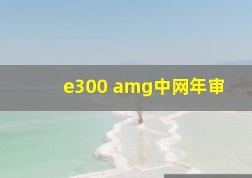 e300 amg中网年审